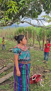 Unos rricos mangos criollos | Maria lorenzo G.T