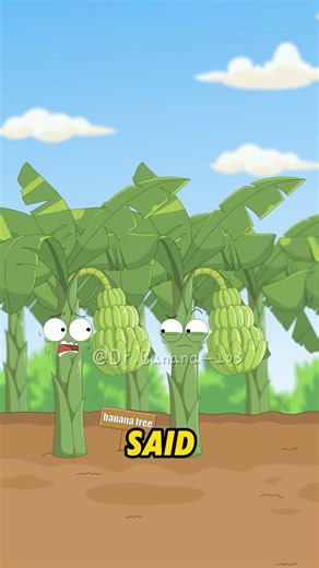 Do you know how banana trees reproduce？#shorts