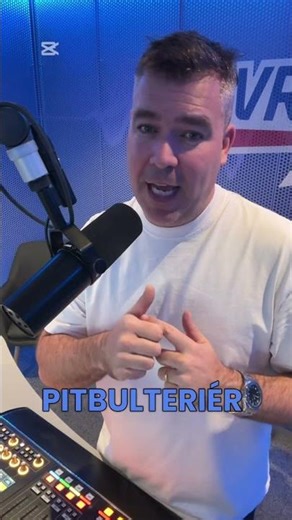 💡 12 nejagresivnějších psích plemen na světě. U některých nestačí ani výcvik 💡