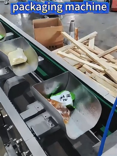 Automated Cold Noodle Packaging Machine Overview