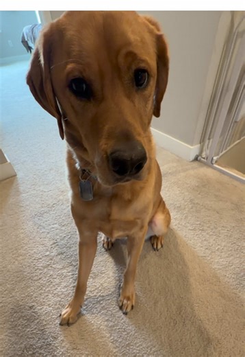 Primetime 1st TD Scorers Analysis for NFL Success