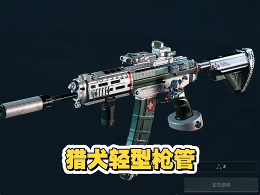 SG552猎犬轻型枪管测试