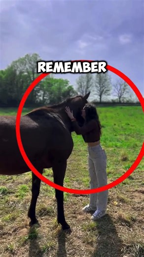 6 Months Later and This Horse Still Remembers Her #horseriding