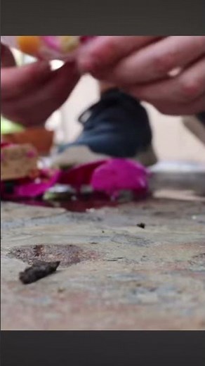 Aquapet Destruction — for those who didn’t know