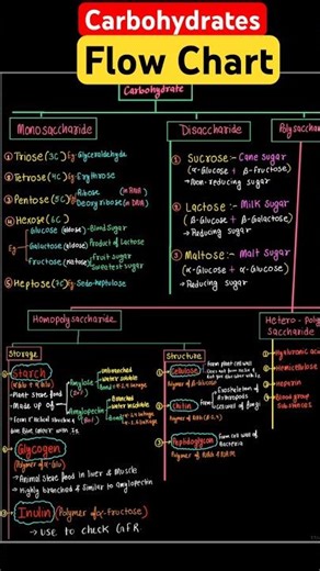Carbohydrates #disaccharides #polysaccharides #biomoleculesclass11#neet #viral #ytshorts #neet2026