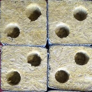 [Hot Item] Garden Vertical Hydroponic Grow Tower System Rockwool Cubes