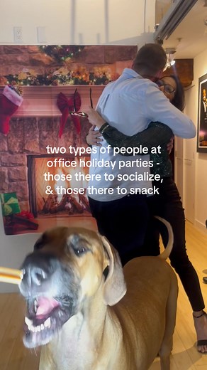 Hanging out with the other plus ones at the snack table #greatdane #christmasparty #officeparty #bigdogs @DrDavidGrant @Roman the Great Dane