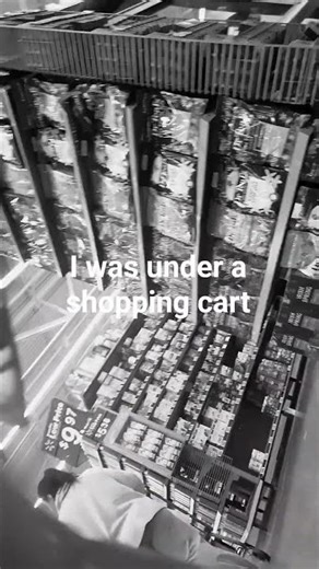 pov: me under a shopping cart