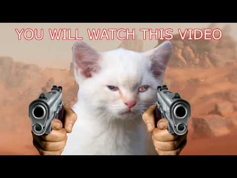 YOU WILL WATCH THIS VIDEO