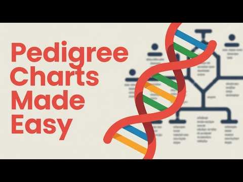 Pedigree Charts Explained Step-by-Step | Autosomal & X-Linked Traits