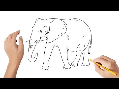 Comment dessiner un éléphant