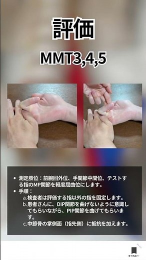 【9割が知らない？】浅指屈筋の正しいMMT評価｜理学療法士・作業療法士向け#shorts #理学療法士 #作業療法士 #浅指屈筋 #リハビリ #MMT #評価