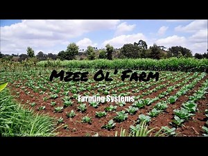 1Room Kenya KCSE Agriculture Form 1 Lesson 3: Farming systems