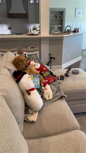 AGuyandAGolden on Instagram: "You have to be careful what you say around Teddy… 🥲"