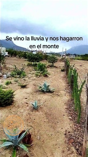#rancho #viral #galeana #monterrey
