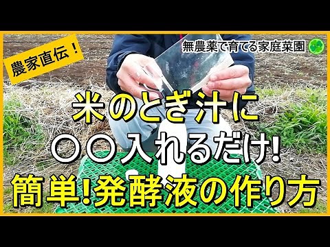 How to make fermented rice water for both liquid fertilizer and disease prevention [Taught by org...