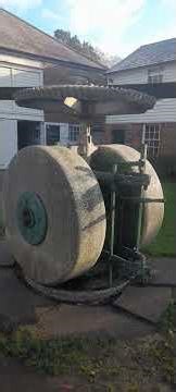 Morden Hall Park, natural rose garden water falls and old mills😎😎😎