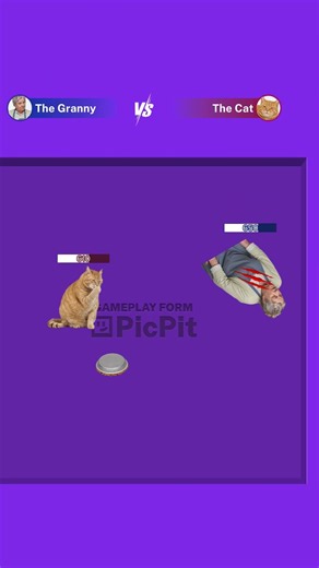 The Granny VS The Cat