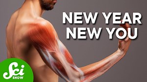 How the Human Body Regenerates New Cells Every Year