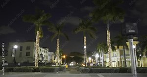 Palm trees with Christmas holiday lights Hollywood Florida