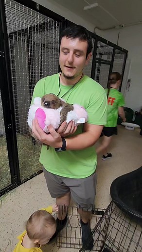 playing with a sloth!? how adorable #sloth #animals #thereptarium #brianbarczyk | Ohio Fish Rescue