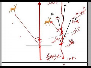 ALL INDIA TIGER ESTIMATION: लाइन ट्रांसेक्ट(form-2) TRANSECT BEARING, animal bearing & walk bearing