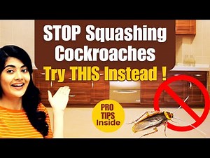 How to Get Rid of Cockroaches Without Killing Them