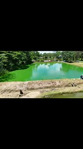 Mi querido viejo yo te extraño tanto #reelschallengereelschallenge #ExitosMusicales #reelsviral #disco #miviejo | Heyman Rivas/ Jeiman Rivas