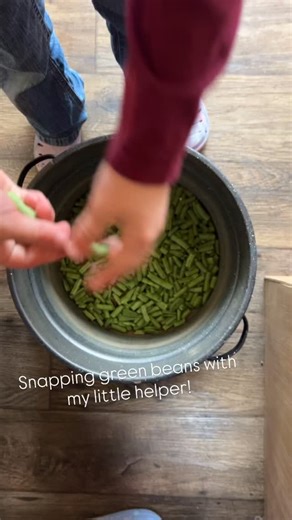 26 reactions | Snapping green beans to can later this afternoon! Big thanks to 5S Family Farms for growing these!! Love being able to get stuff from another local farmer! #supportlocalfarms | Lightfoot Farmstead | Facebook