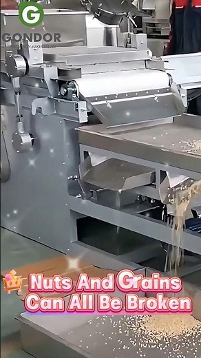 Industrial Nut Chopping Machine–Uniform Chopping for Peanuts, Almonds & Walnuts!🥜🔪#nutchips #chopper