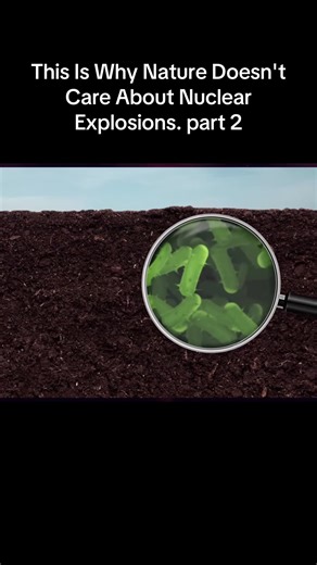 Nature's Resilience After Nuclear Explosions
