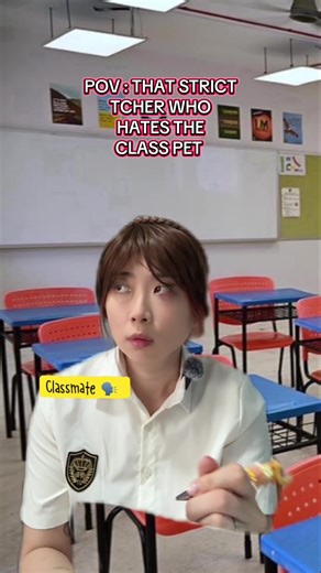 Class Pets and Strict Teachers: A Funny Perspective