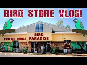 Shopping at A Mega Bird Store! (with Taxonomist)