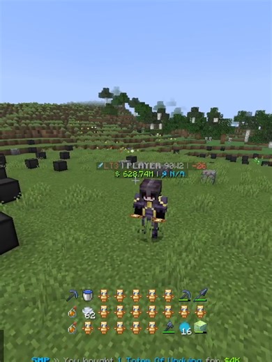 Minecraft CPVP: Is the 'Pro Tag' Valid?