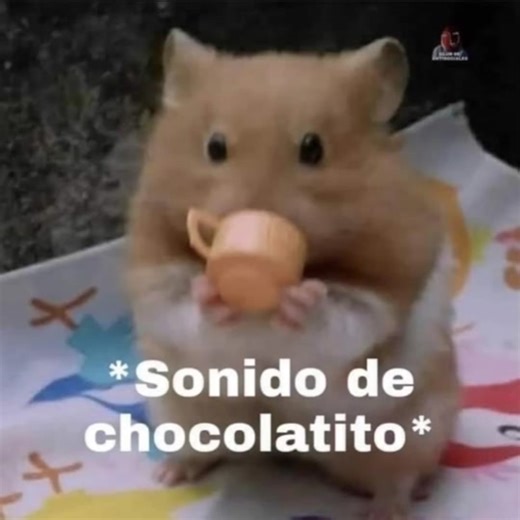 TMNT 2012 Gacha Club Edit featuring Donnie, Mikey, and Leo