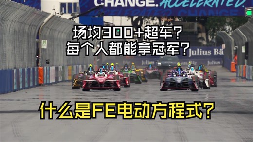 什么是FE电动方程式？