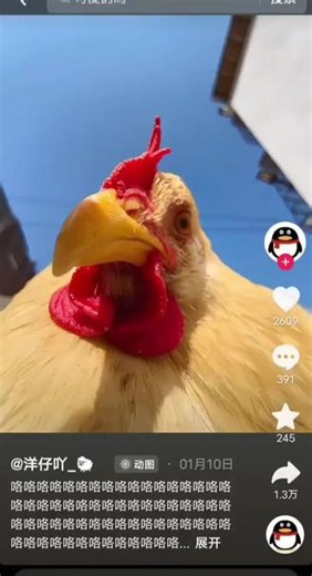 咯咯咯咯咯咯咯咯咯咯咯咯咯咯咯咯咯咯咯咯！呱呱呱呱呱呱呱呱呱呱呱呱呱呱呱呱呱呱呱呱呱呱呱呱！汪汪汪汪汪汪汪汪汪汪汪汪汪汪汪汪汪汪汪汪汪汪汪咩咩咩咩咩咩咩咩咩咩咩咩咩咩咩咩！哼哼哼哼哼哼哼哼哼哼哼哼哼哼哼哼哼哼哼哼！哞哞哞哞哞哞哞哞哞哞哞哞哞哞哞哞哞！嗷呜嗷呜嗷呜嗷呜嗷呜嗷呜嗷呜嗷呜嗷呜嗷呜呜呜！呜呜呜呜呜呜呜呜呜呜呜呜呜呜呜呜呜呜！嗷嗷嗷嗷嗷嗷嗷嗷嗷嗷嗷嗷嗷嗷嗷嗷嗷嗷嗷！熊哈哈哈哈哈哈哈哈哈