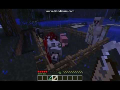 Minecraft Tutorial - How To Use and Get a Name Tag