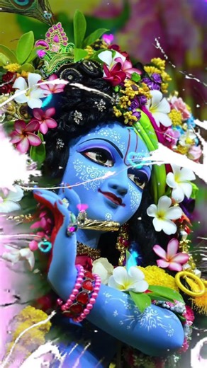 dwarkadhish mandir krishna🌸🥰🙏🦚 radha#trending#virel#song#bhajn#kreshna_bhajan#kreshnasong#love