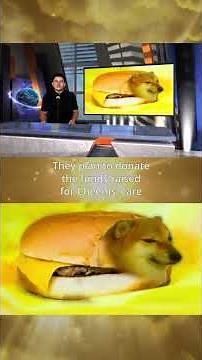 Remembering Cheems: The Shiba Inu Meme Dog - A Heartfelt Tribute