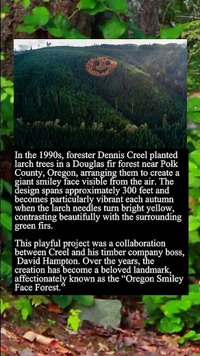 The Story Behind Oregon's Beloved Smiley Face Forest #shorts