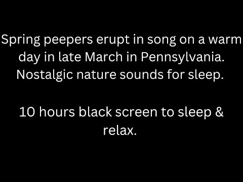 Spring peepers erupt in song in late March, 10 hours tree frog sounds, black screen sleep relax
