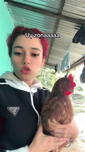 #fall #fail mlp prra