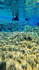 Silfra is a UNESCO World Heritage Site in Thingvellir National Park, Iceland, and it's the only place in the world where you can snorkel between two tectonic plates 🐠 Read more: https://timeouttravel.visitlink.me/AzDVwD [📸: @imalwaysonpto] | Time Out Travel