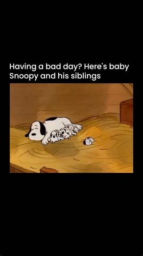 neonexplanation on Instagram: "🥹 Snoopy is one of the most recognizable cartoon characters ever, created by Charles M. Schulz for the comic strip Peanuts. He first appeared in 1950 as Charlie Brown's pet beagle, but quickly became much more than just a background character. Snoopy has a rich inner world where he imagines himself as a World War I flying ace, a famous author, a lawyer, or even a cool college student named Joe Cool. Much of his charm comes from the contrast between his quiet real 