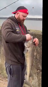 Think that’s cod Yano mate 😅 points for guessing how many times I say cod 😂🎣 find full video on my YouTube #fishtok #codfishing #COD #fishinglife #winteriscoming | The Fishing Place