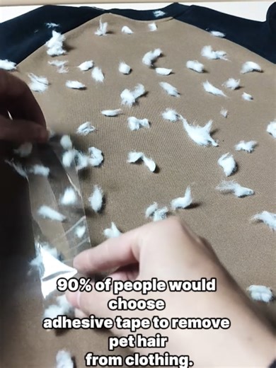 The Best Pet Hair Remover in 2026 #pethairremoval #pethairglove #petproduct