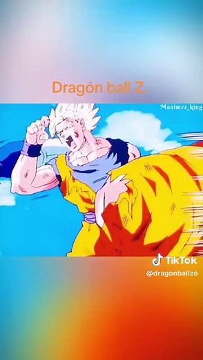 Dragón Ball Z: ¡KAME-HAME-HA! y la Saga de Majin Boo