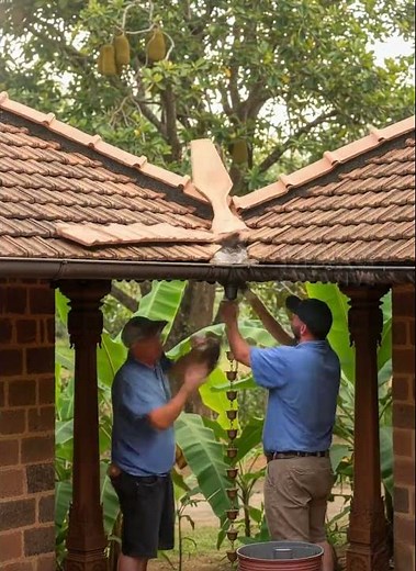 From Collapse to Masterpiece: Watch This Home Transform Step-by-Step! 🏠✨ #HomeRenovation