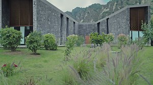 Buscando a Frida, Resumen Semanal (Capítulos 1 al 4)